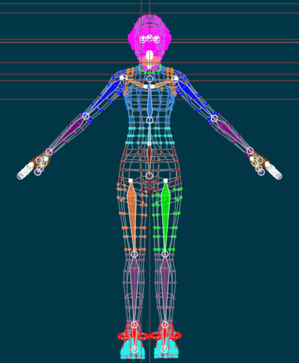 Rig.png