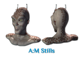 gallery_am_stills